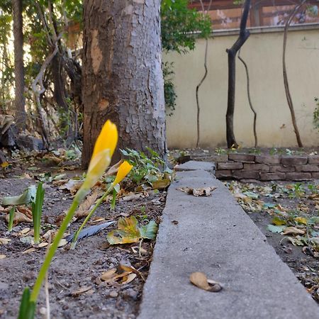 Charming Central Home With Garden Near Parking And Ndk Sofia Luaran gambar