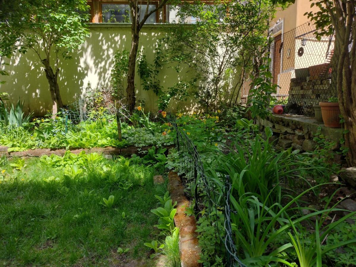 Charming Central Home With Garden Near Parking And Ndk Sofia Luaran gambar